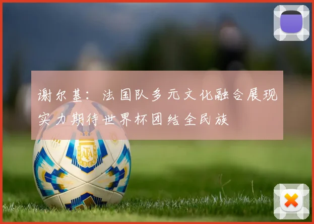 谢尔基：法国队多元文化融合展现实力期待世界杯团结全民族