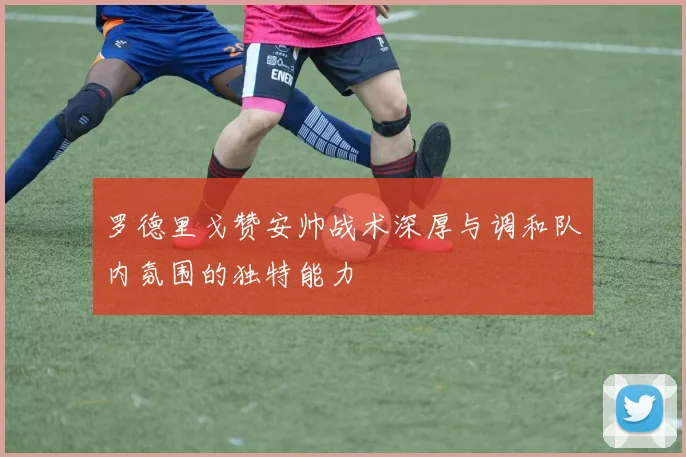 罗德里戈赞安帅战术深厚与调和队内氛围的独特能力