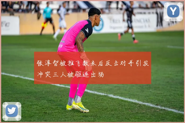 张淳智被推飞数米后反击对手引发冲突三人被驱逐出场