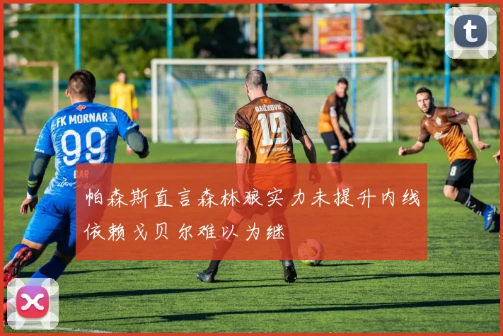 帕森斯直言森林狼实力未提升内线依赖戈贝尔难以为继